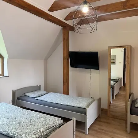 Z Wlasnym Stawem Nad Jeziorem Apartamento