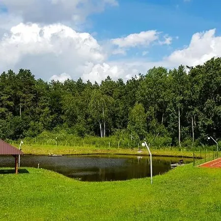 Z Wlasnym Stawem Nad Jeziorem Апартаменты Рын