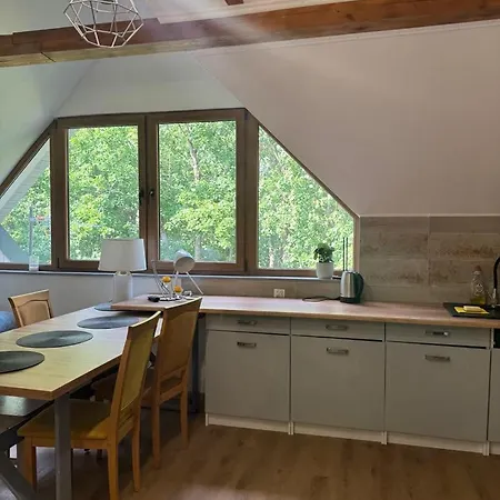 Z Wlasnym Stawem Nad Jeziorem Апартаменты *